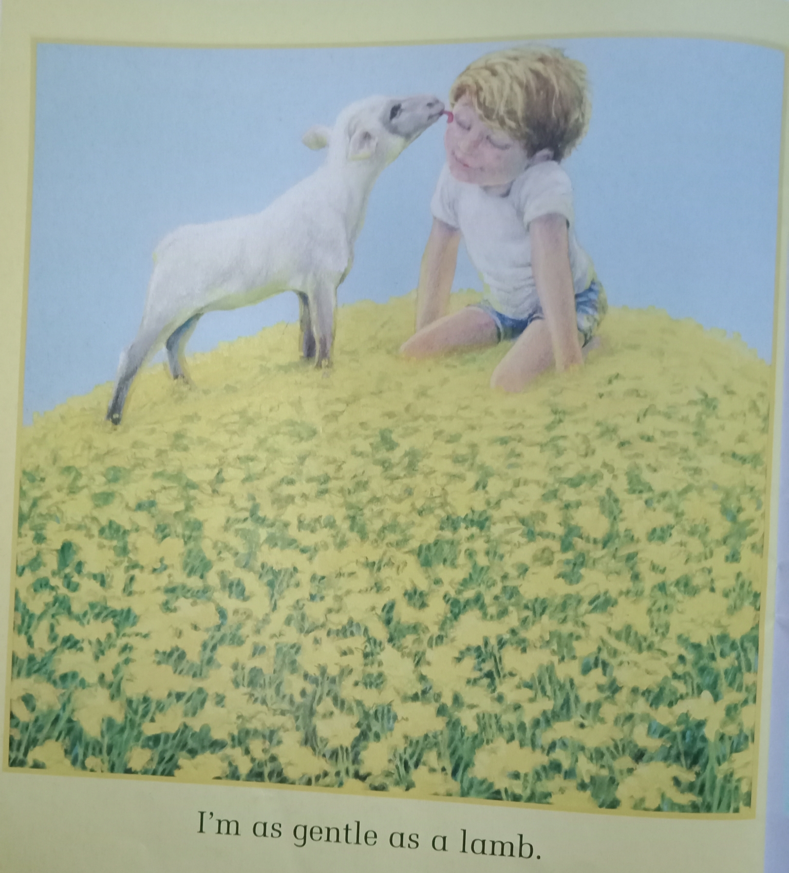 i"m as gentle as   lamb我像绵羊一样温顺.