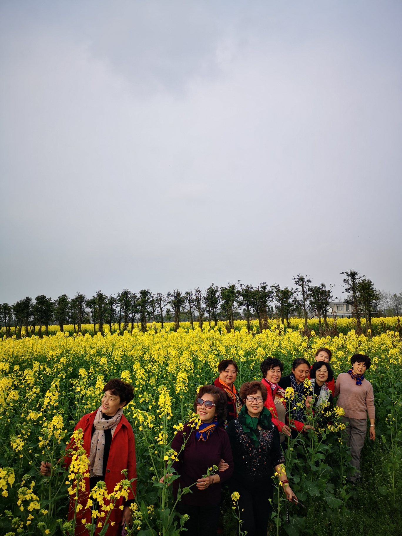 姹紫嫣红总是春(新津花舞人间国家aaaa风景区)2019.3.9.