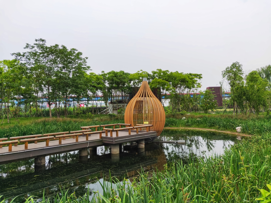 南充印象嘉陵江湿地公园夜景(手机版)完稿于5,10日.