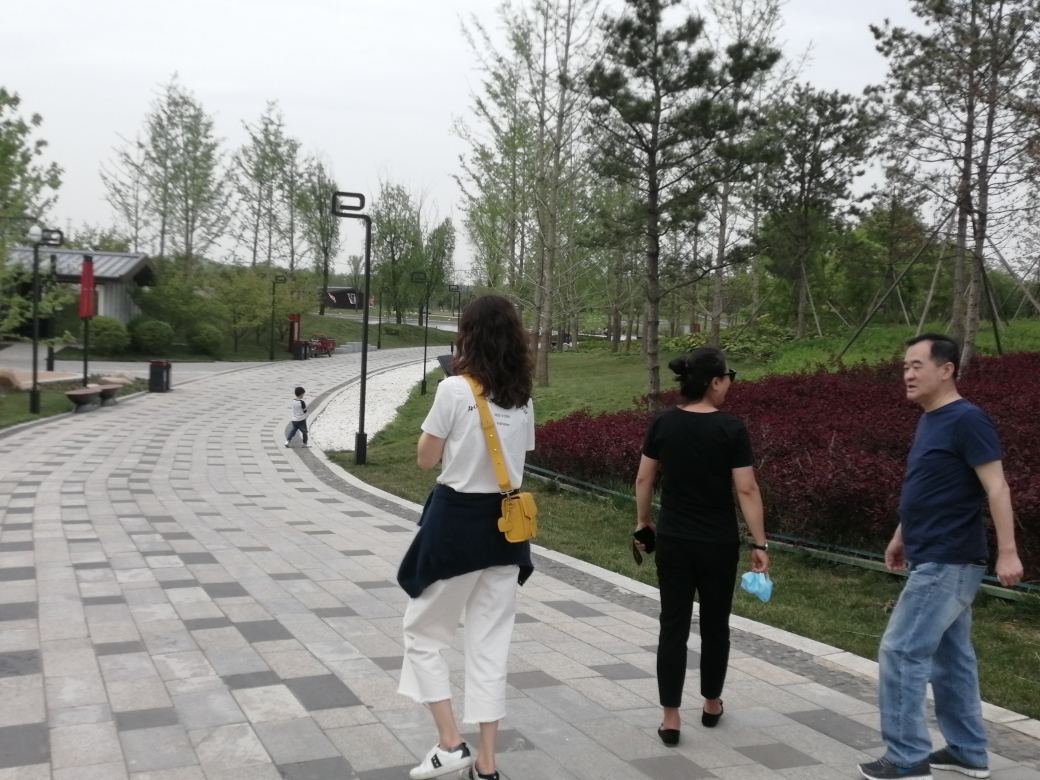 以西,渭河河堤路以北区域,占地面积约7628亩,由秦咸阳城考古遗址公园
