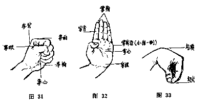 二,学习武术基本功 3个手型:    拳:(图31)四指并拢卷握,拇指扣在