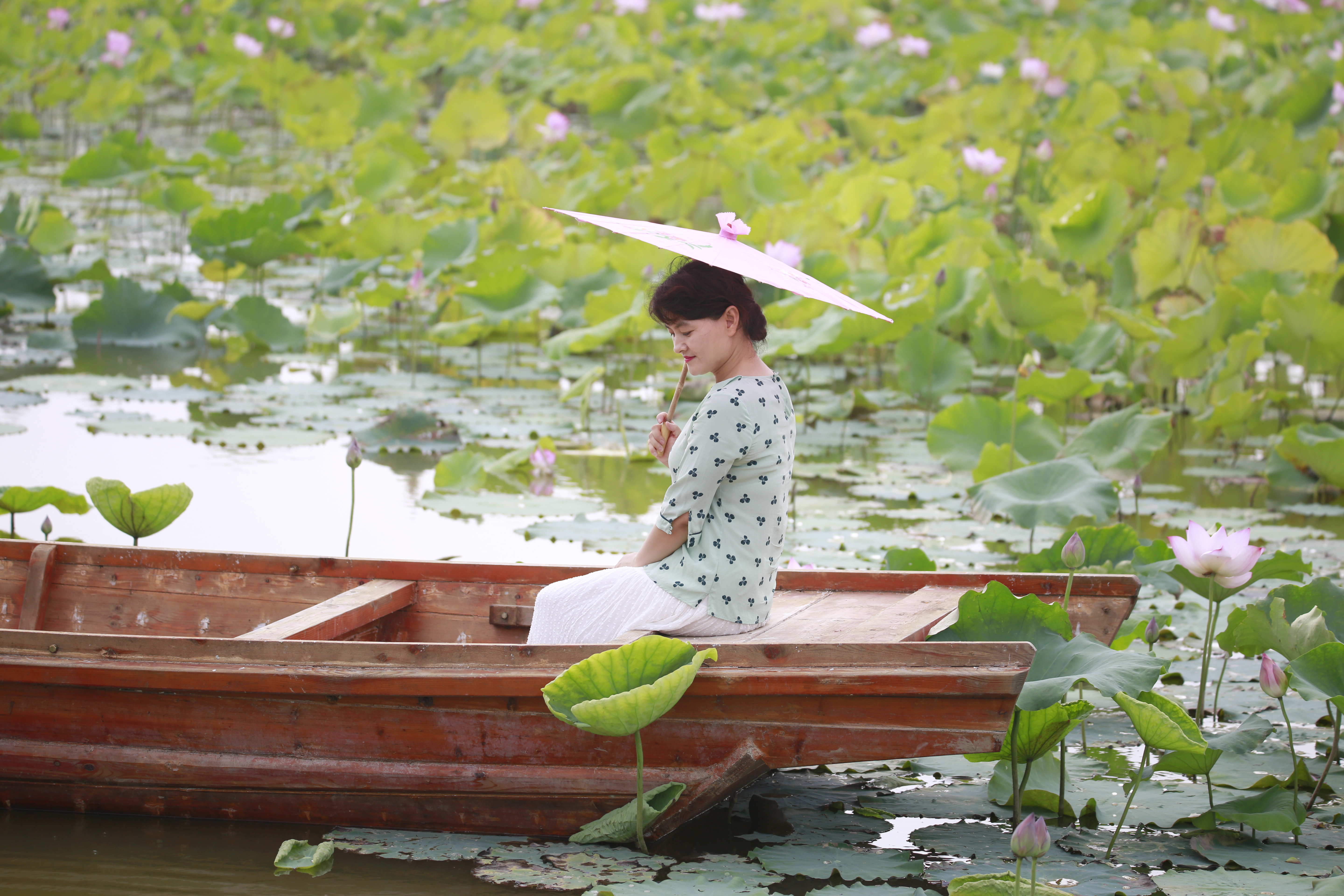 荷塘弄舟采莲女荷叶荷裙相映色