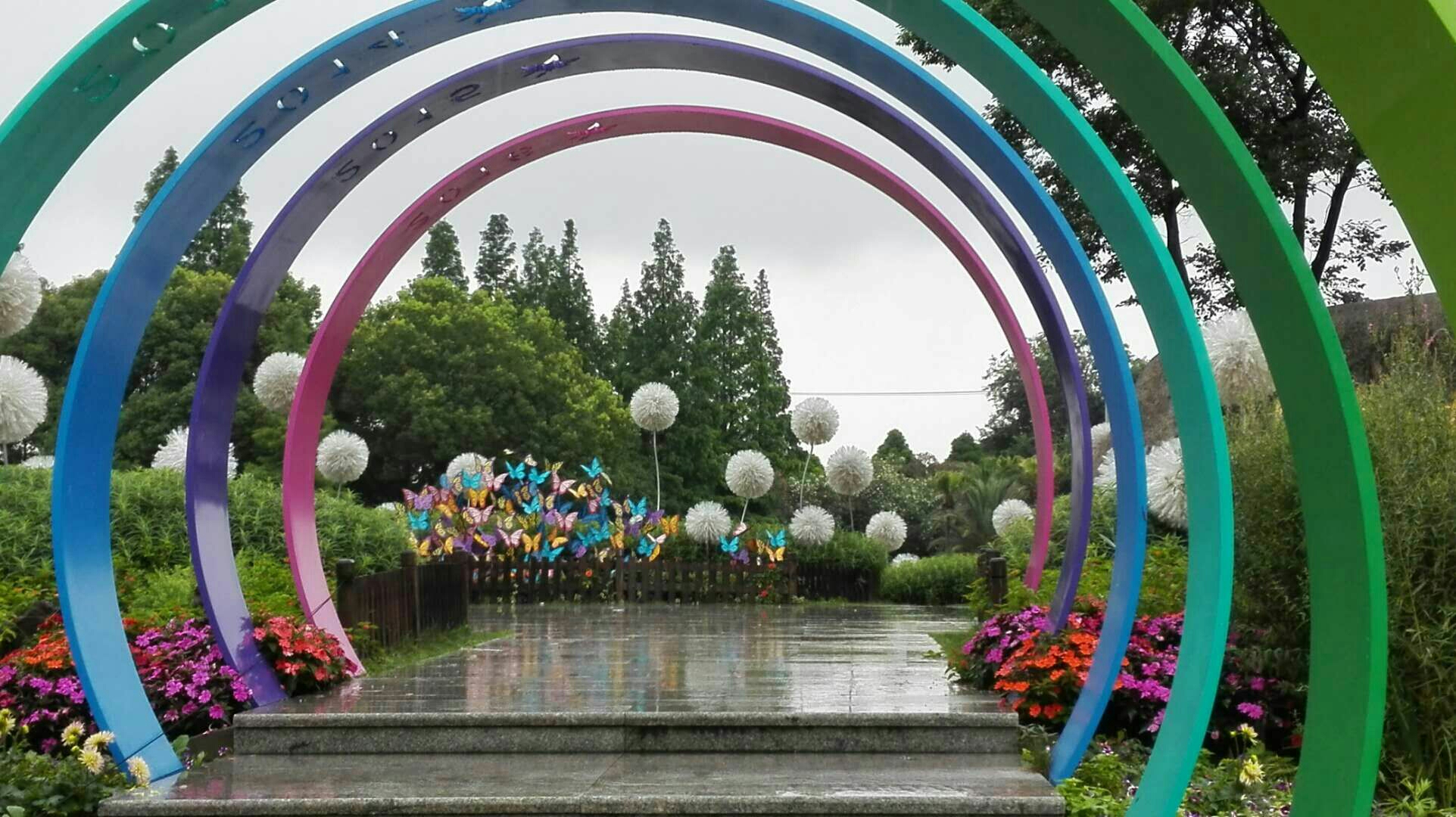 姹紫嫣红的上海植物园