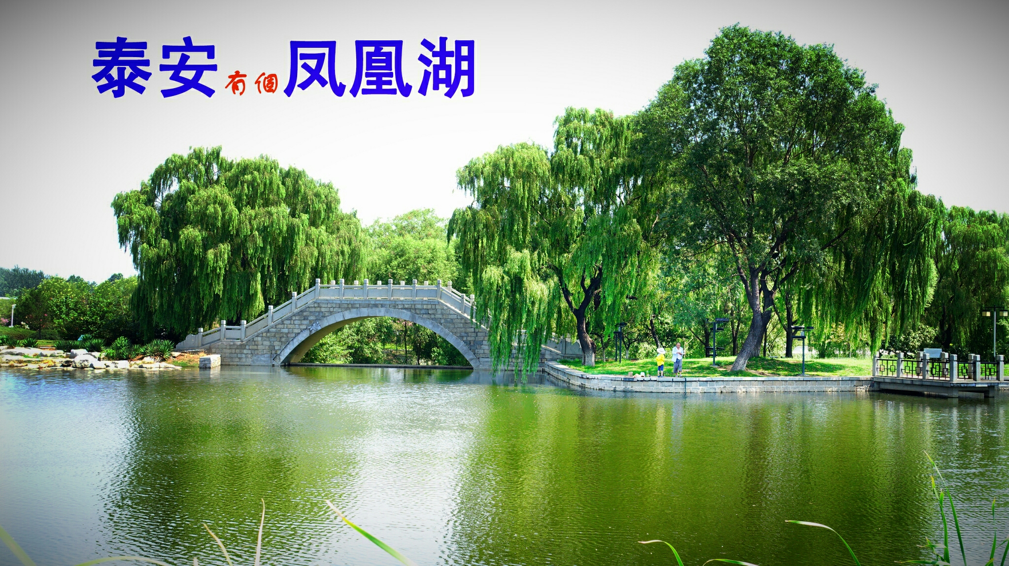 泰安摄影有个好去处~凤凰湖