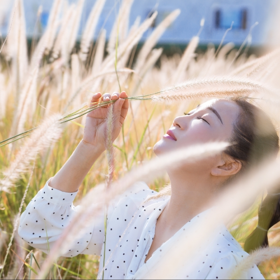 挡不住的思念