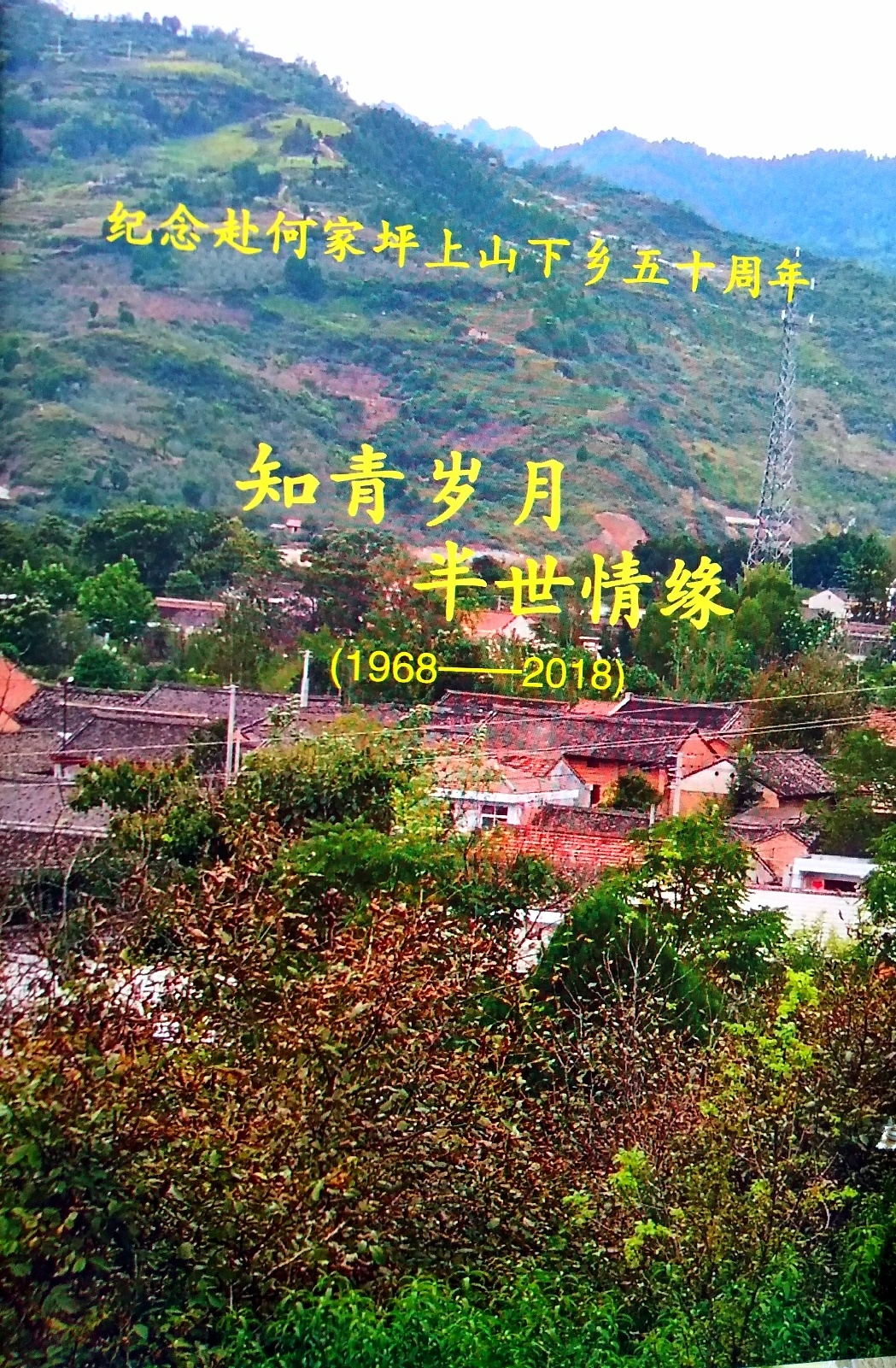 流金岁月