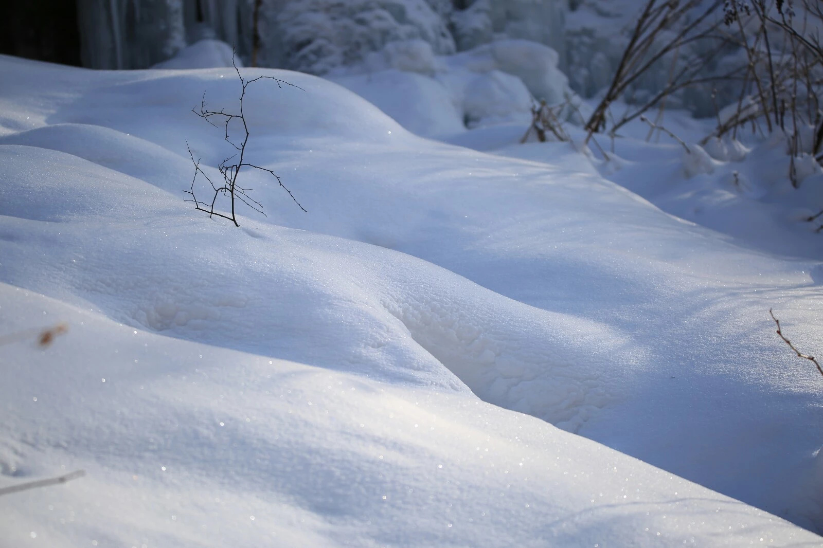 林海雪原