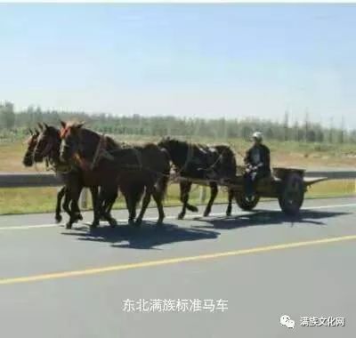 卸下"戎装" 颠簸在草原上的三股道上   四套马车,边稍是小骡子 穿套是