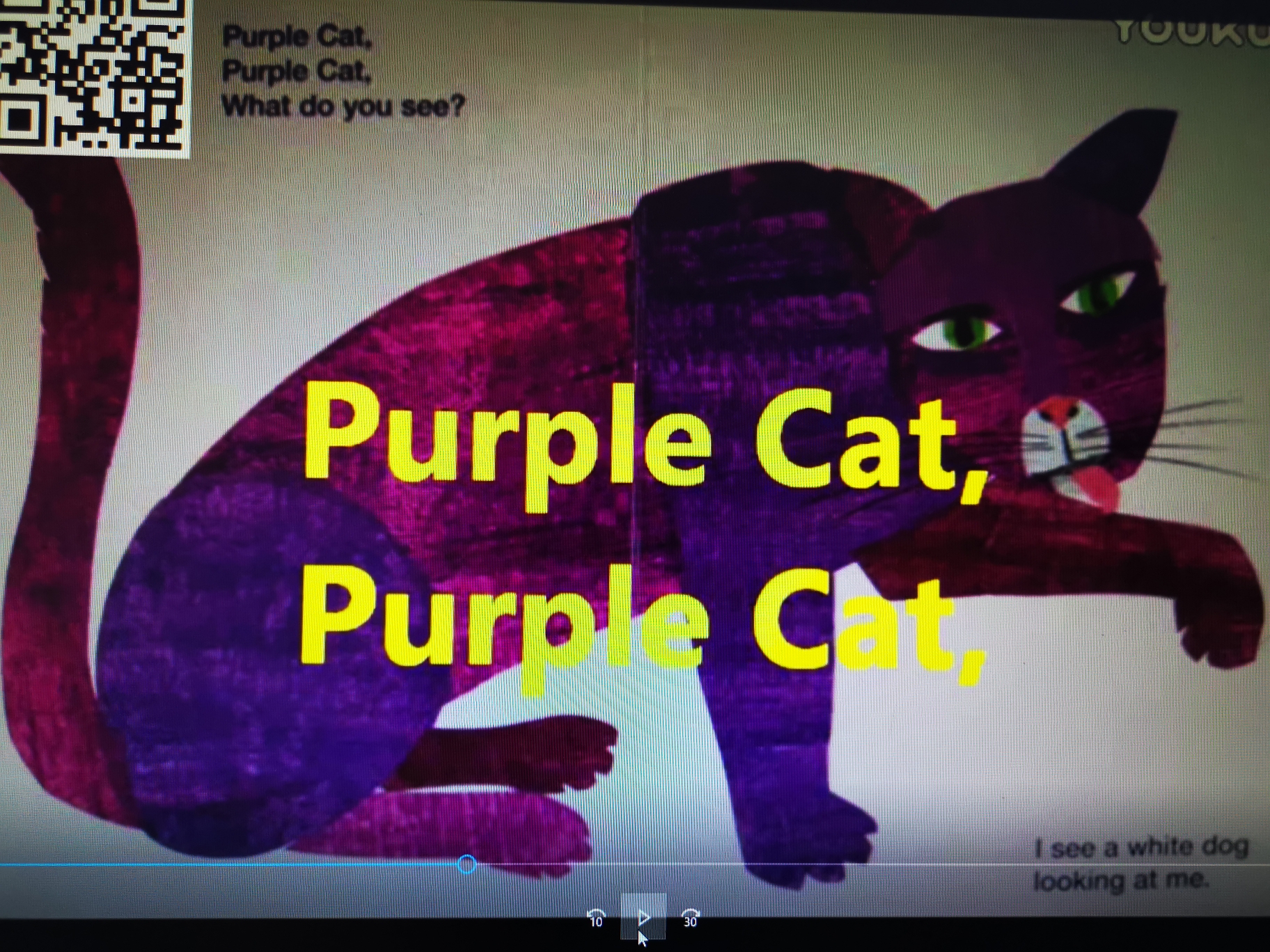 purple cat-未知
