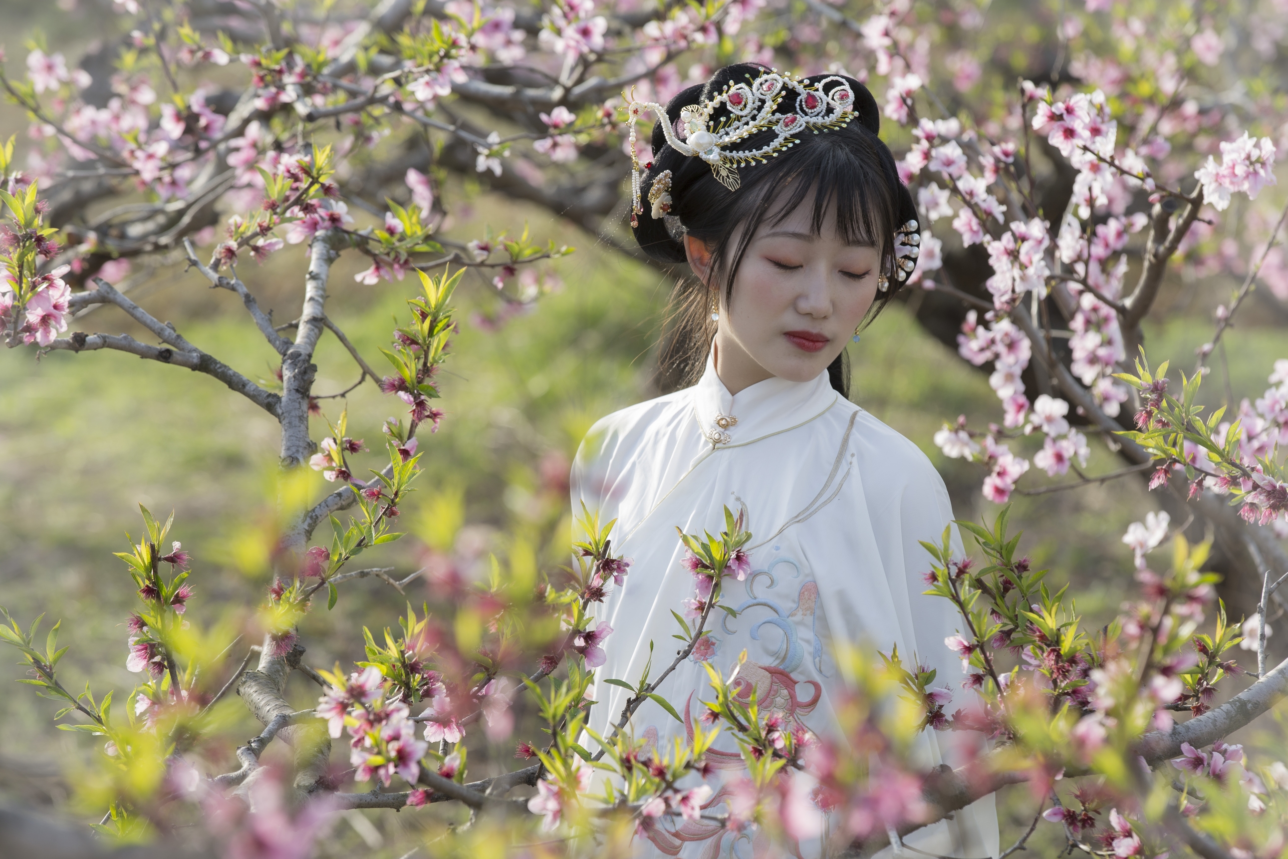 《桃花行金陵十三钗》