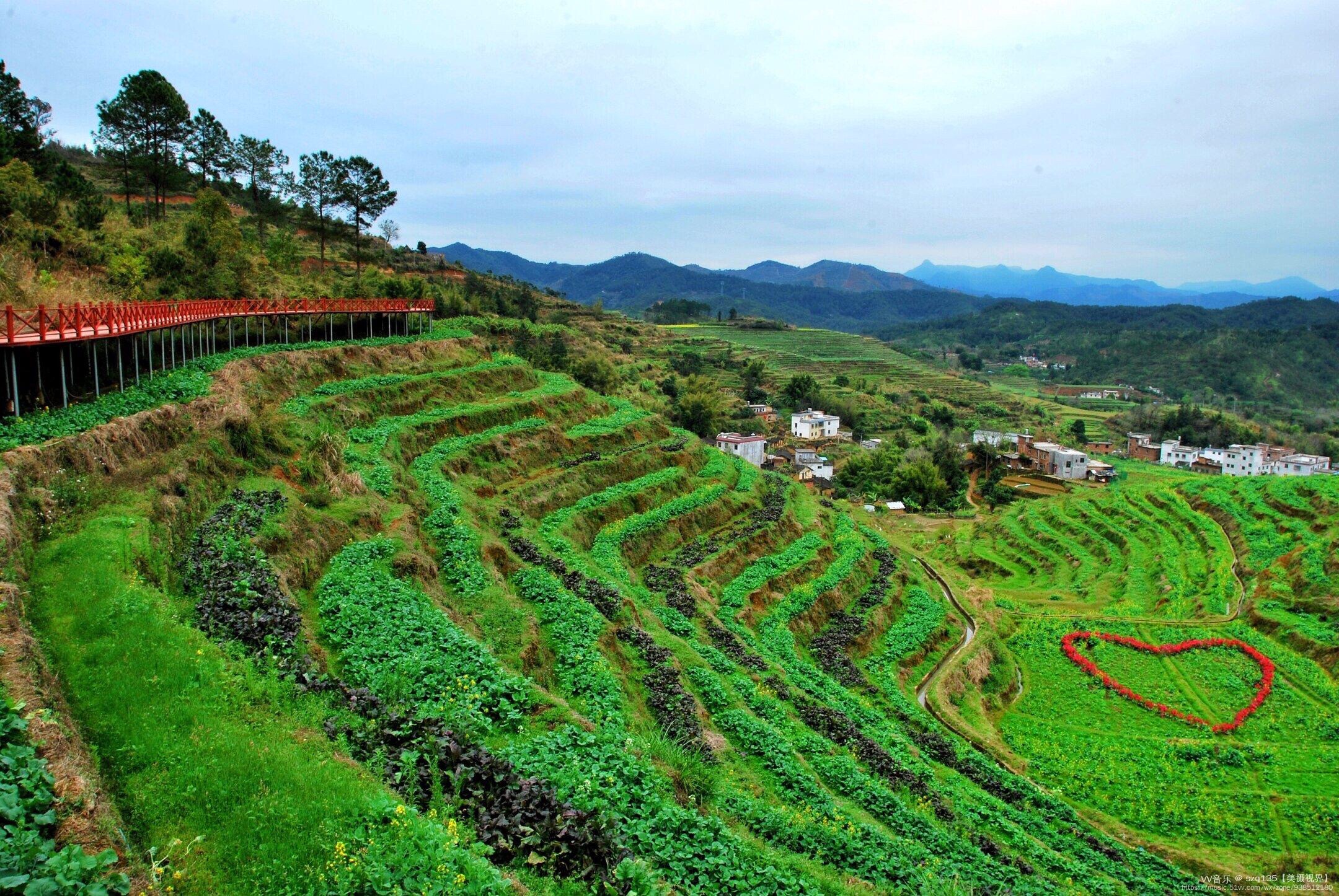 坪山梯田风光:位于大埔县大东镇坪山村,距大埔县城40公里,共1200亩.