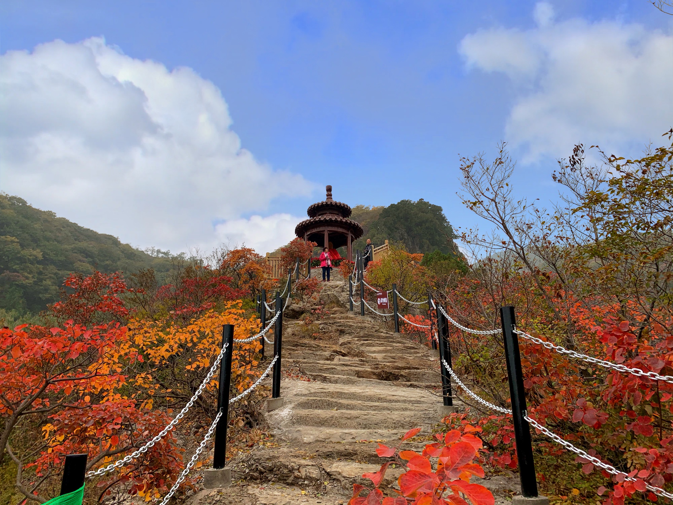 博山红叶柿岩