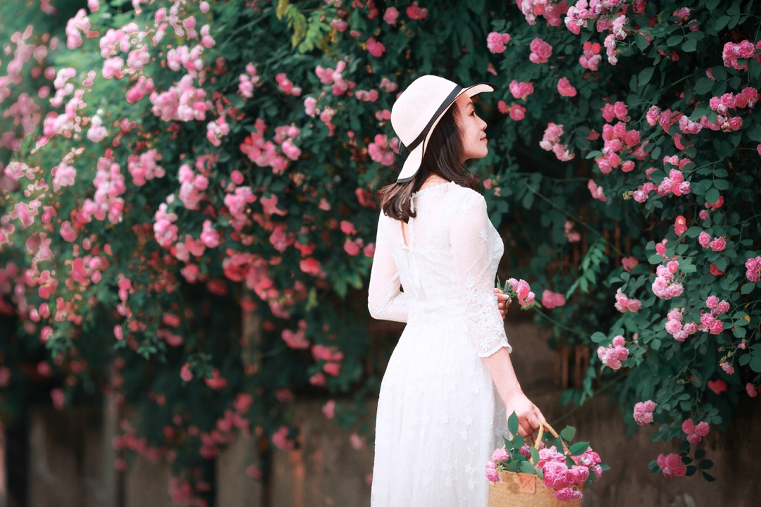 花开半夏,如诗如画.