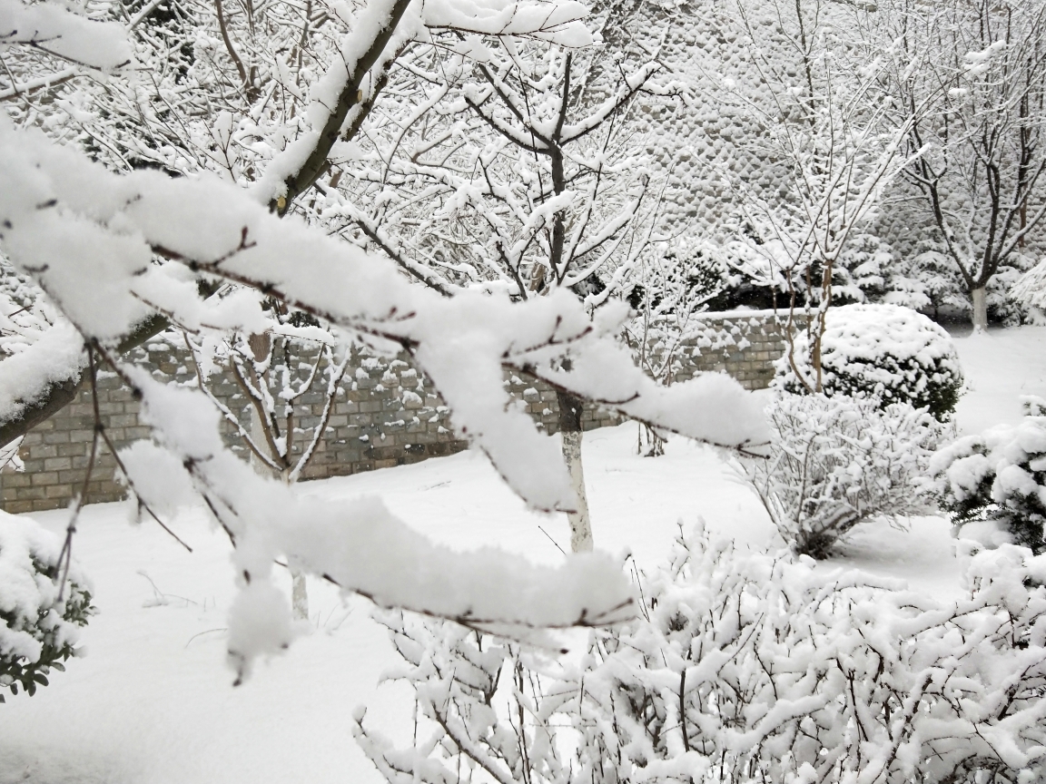 万里雪 