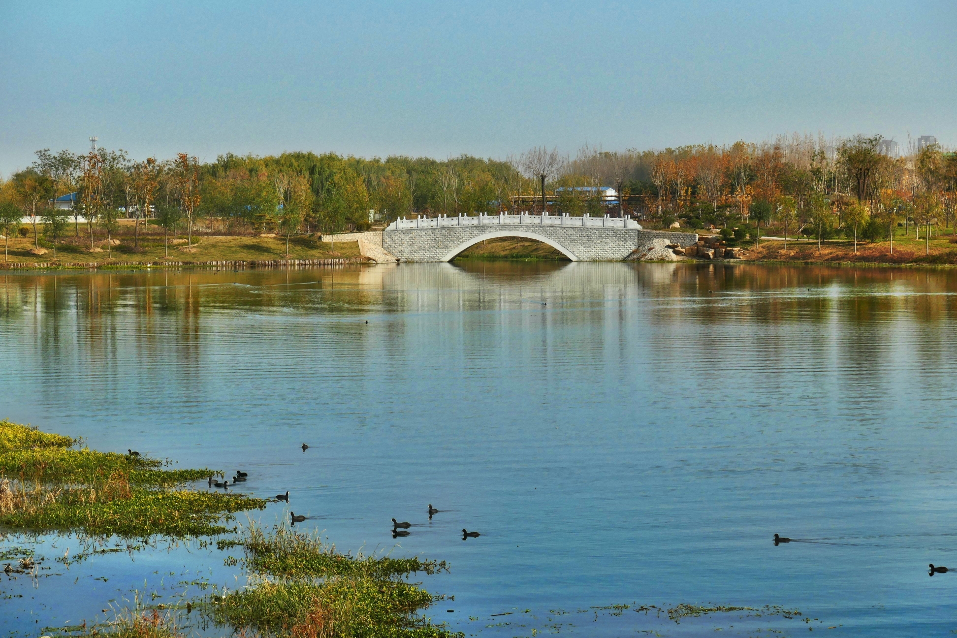 泰安汶河湿地公园,美景如画