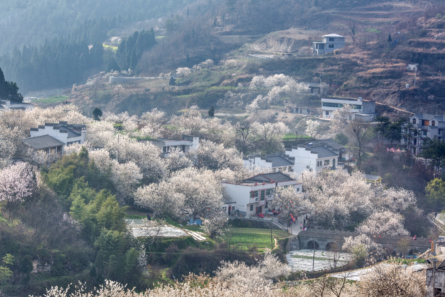 云游湖北