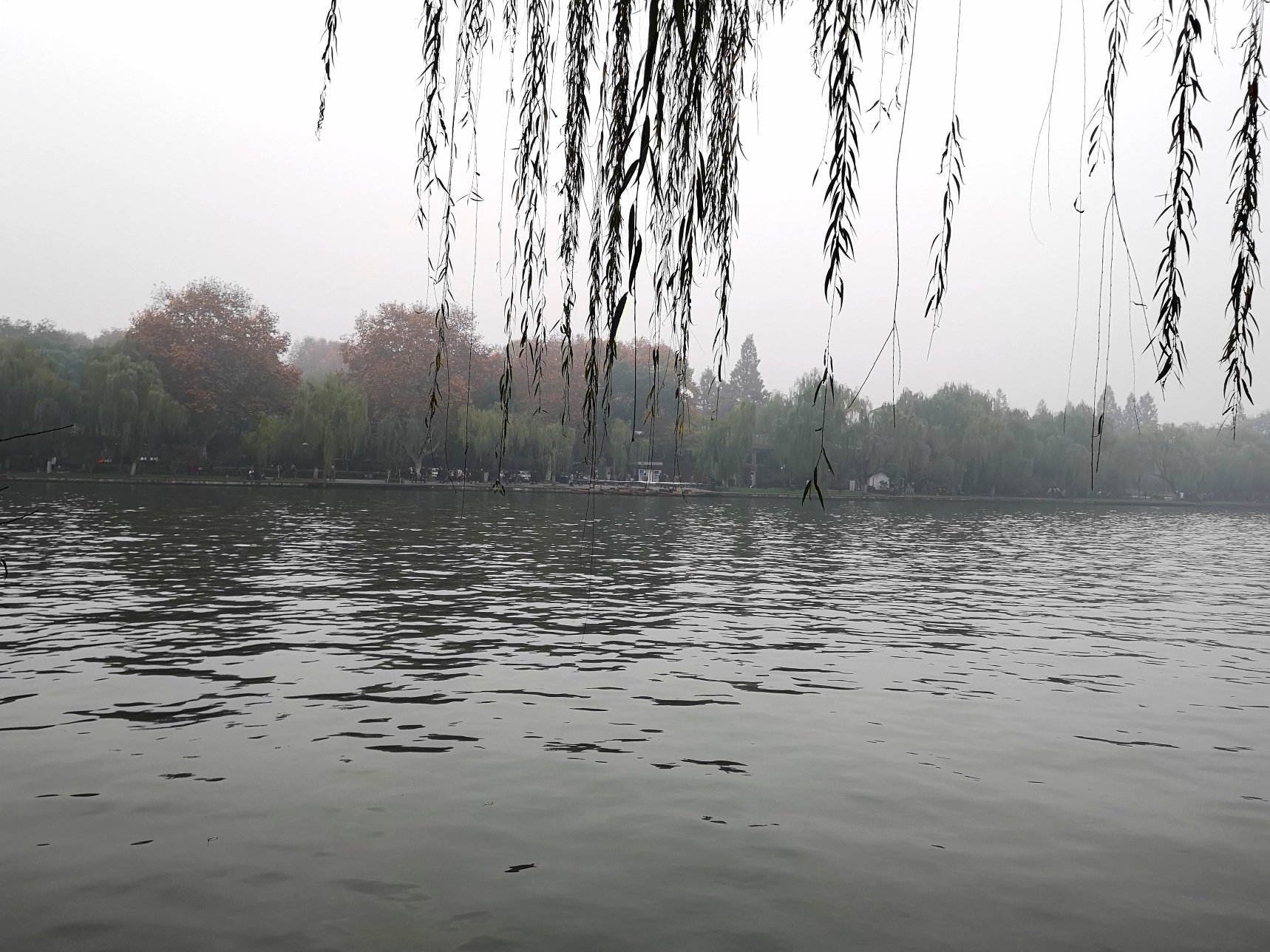 烟雨朦胧雨西湖