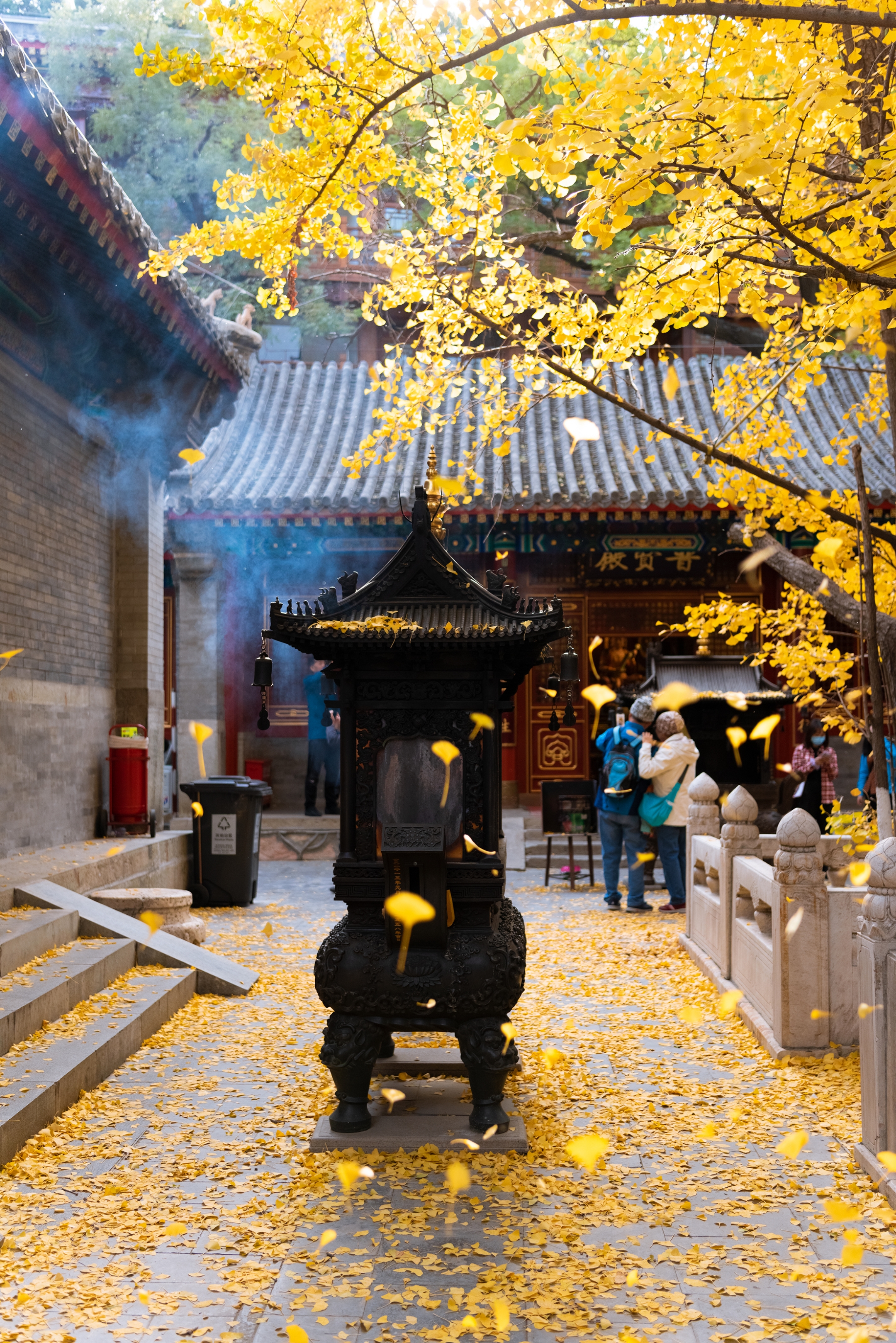 摄影师驾到丨古刹秋景