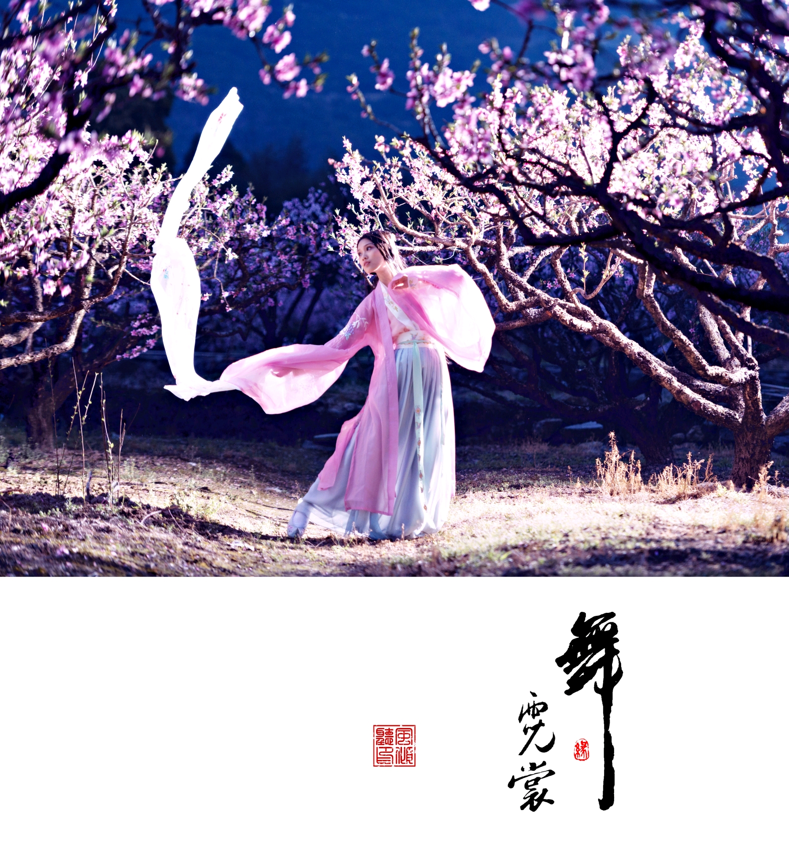 舞霓裳