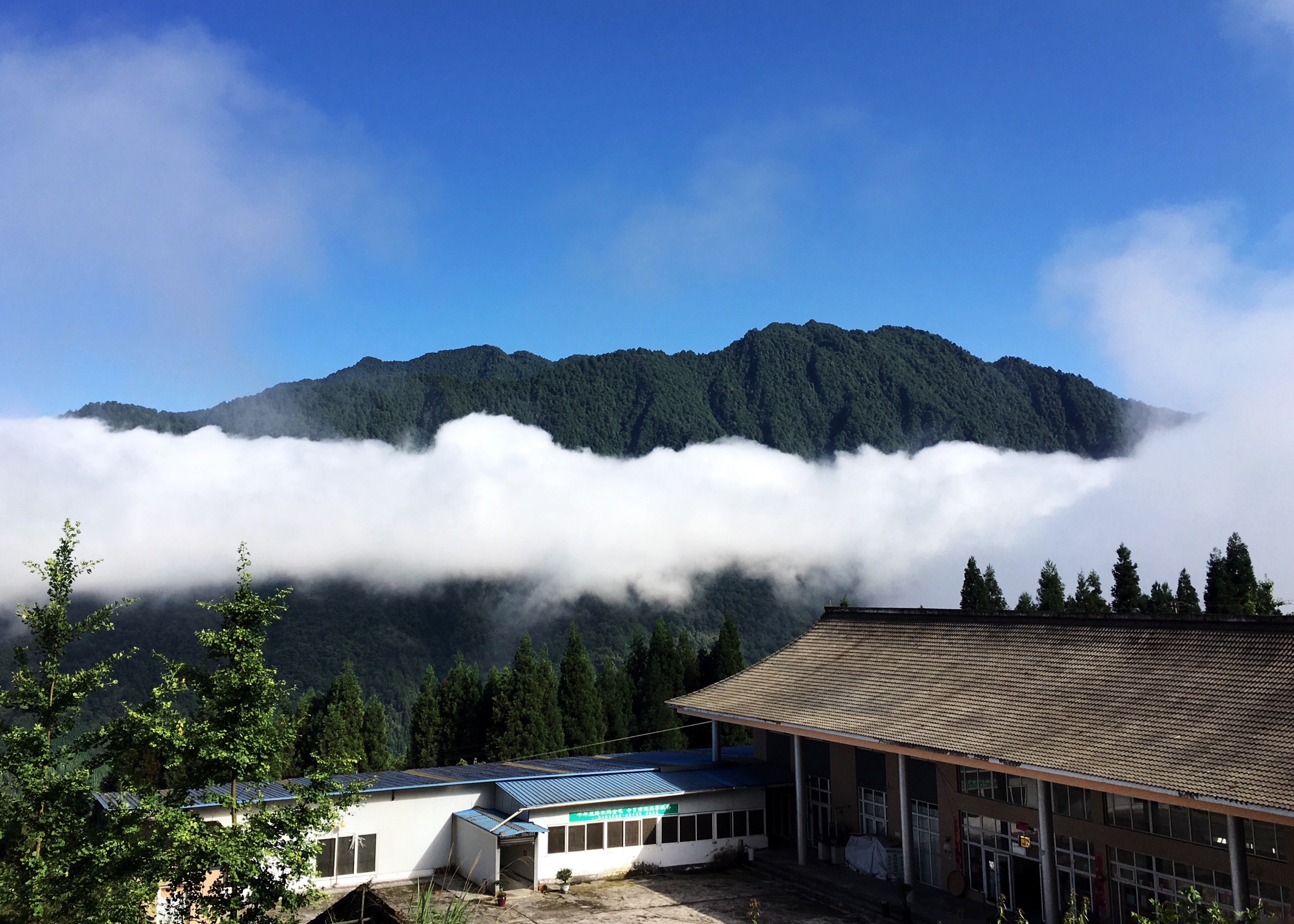 南宝山位于四川省邛崃市,海拔700至2000多米,是一处人少景美