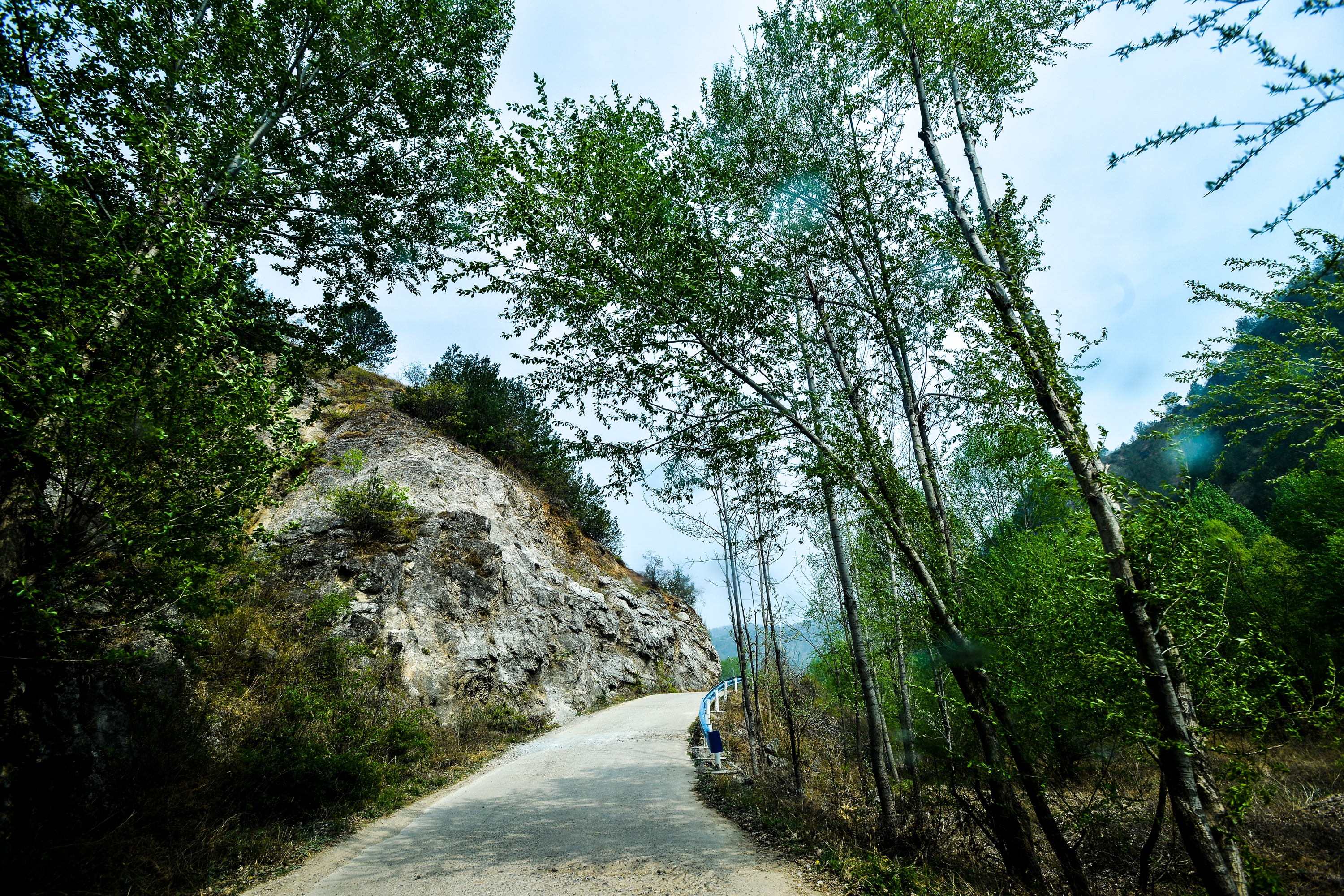 朱阳后山,有我们同伴