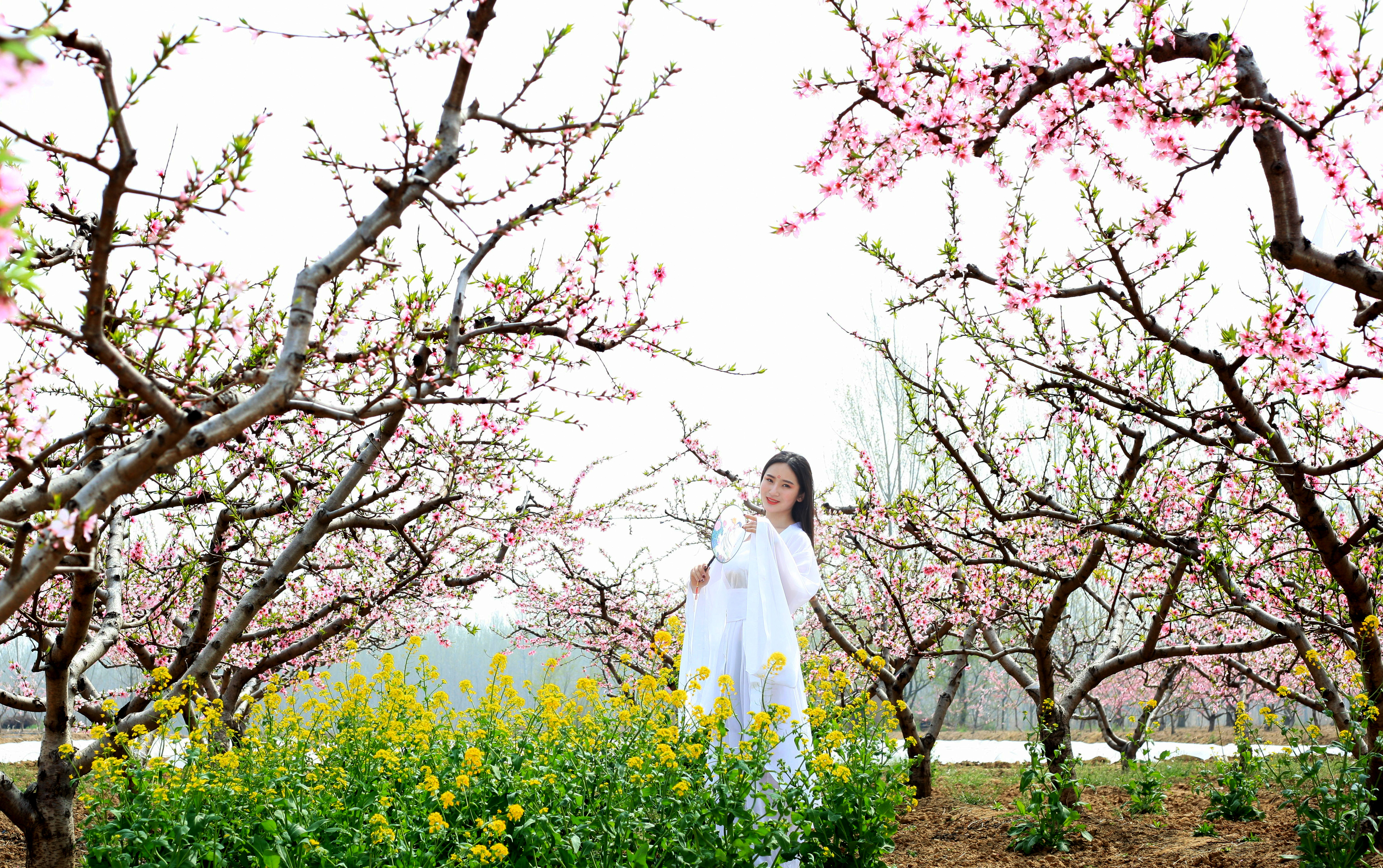 十里桃花香