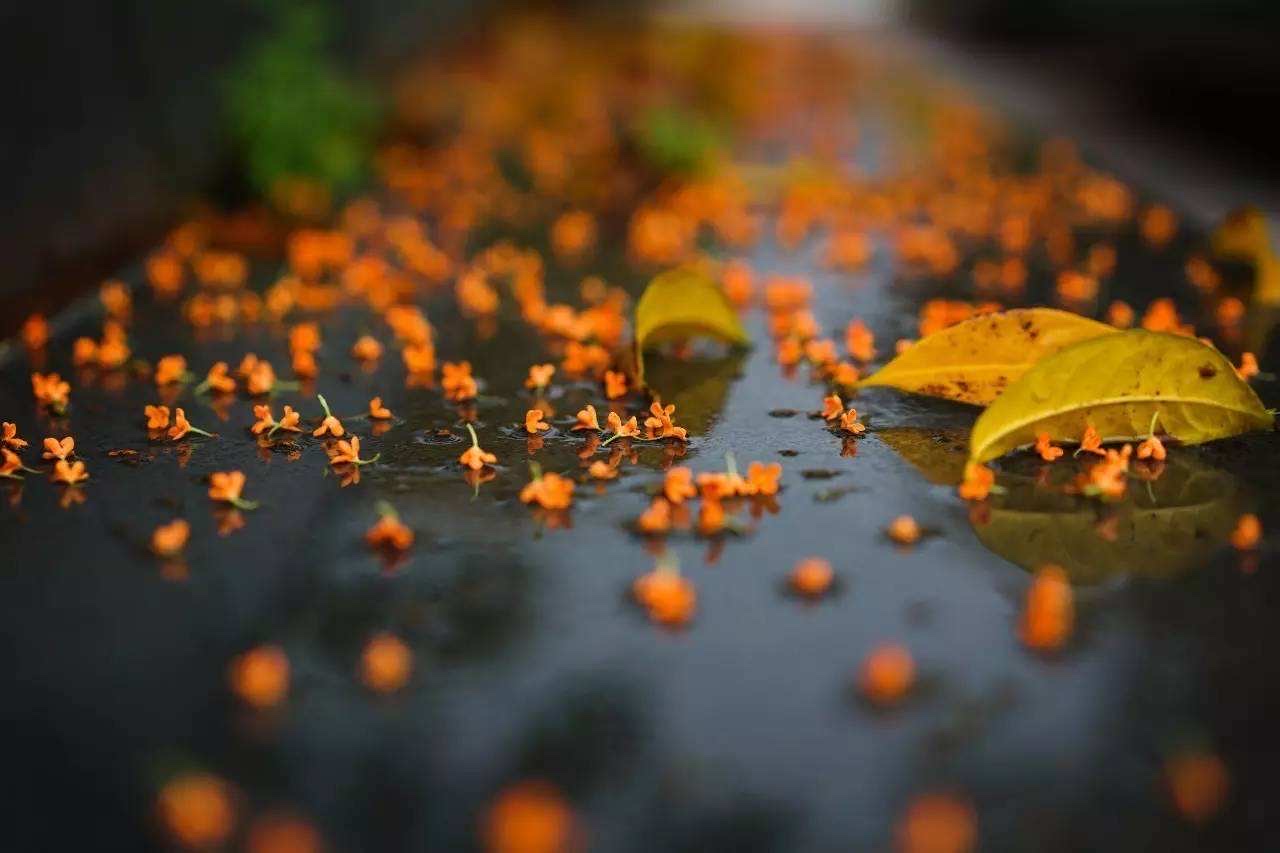 依韵唱和《听雨(八)