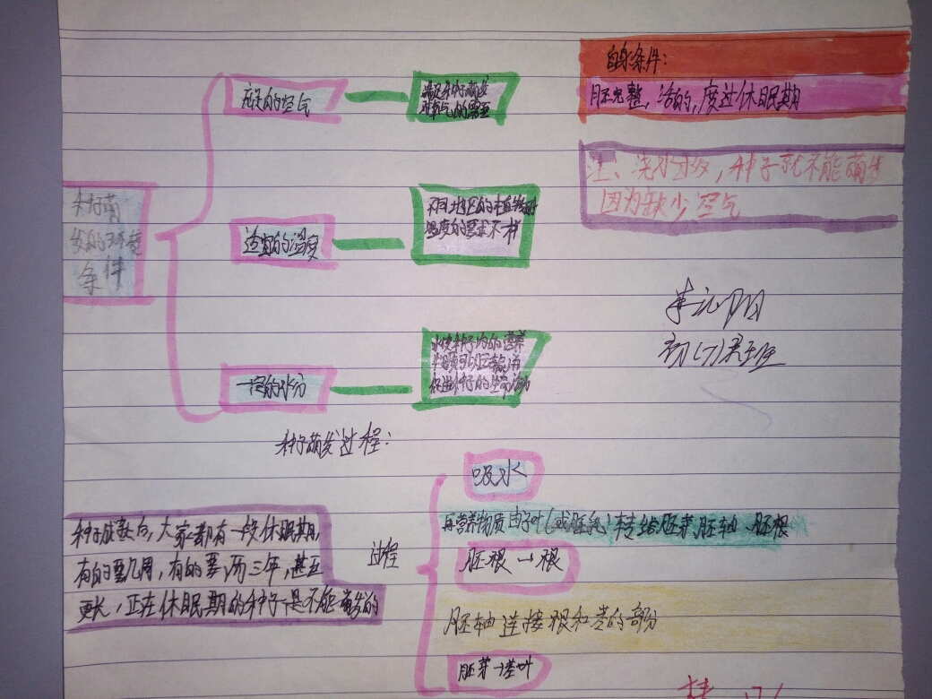 顺着思路,绘出脉络清晰的思维导图