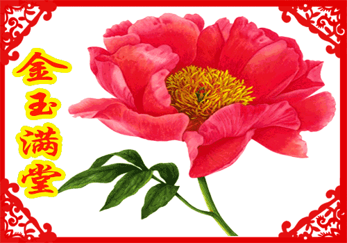 开心快乐每一天