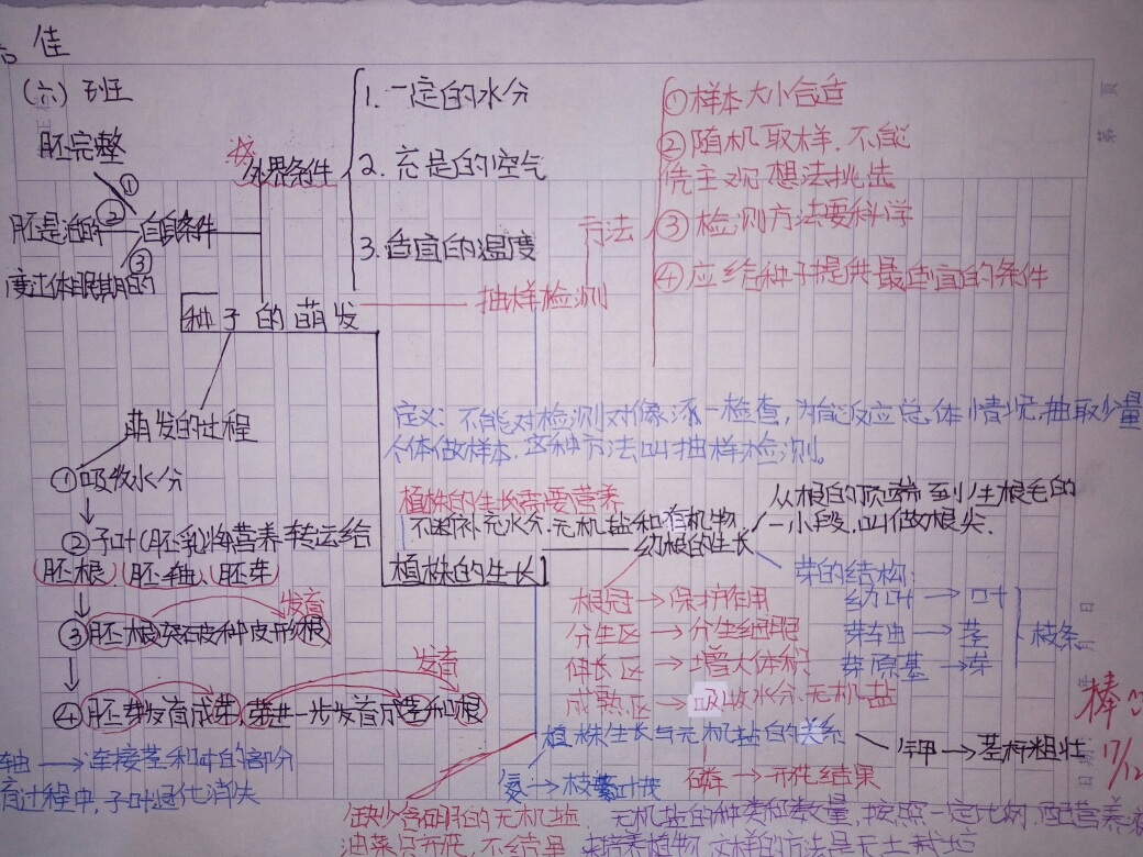 顺着思路绘出脉络清晰的思维导图