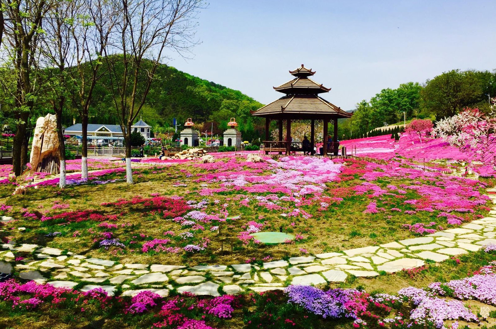 首发花满楼