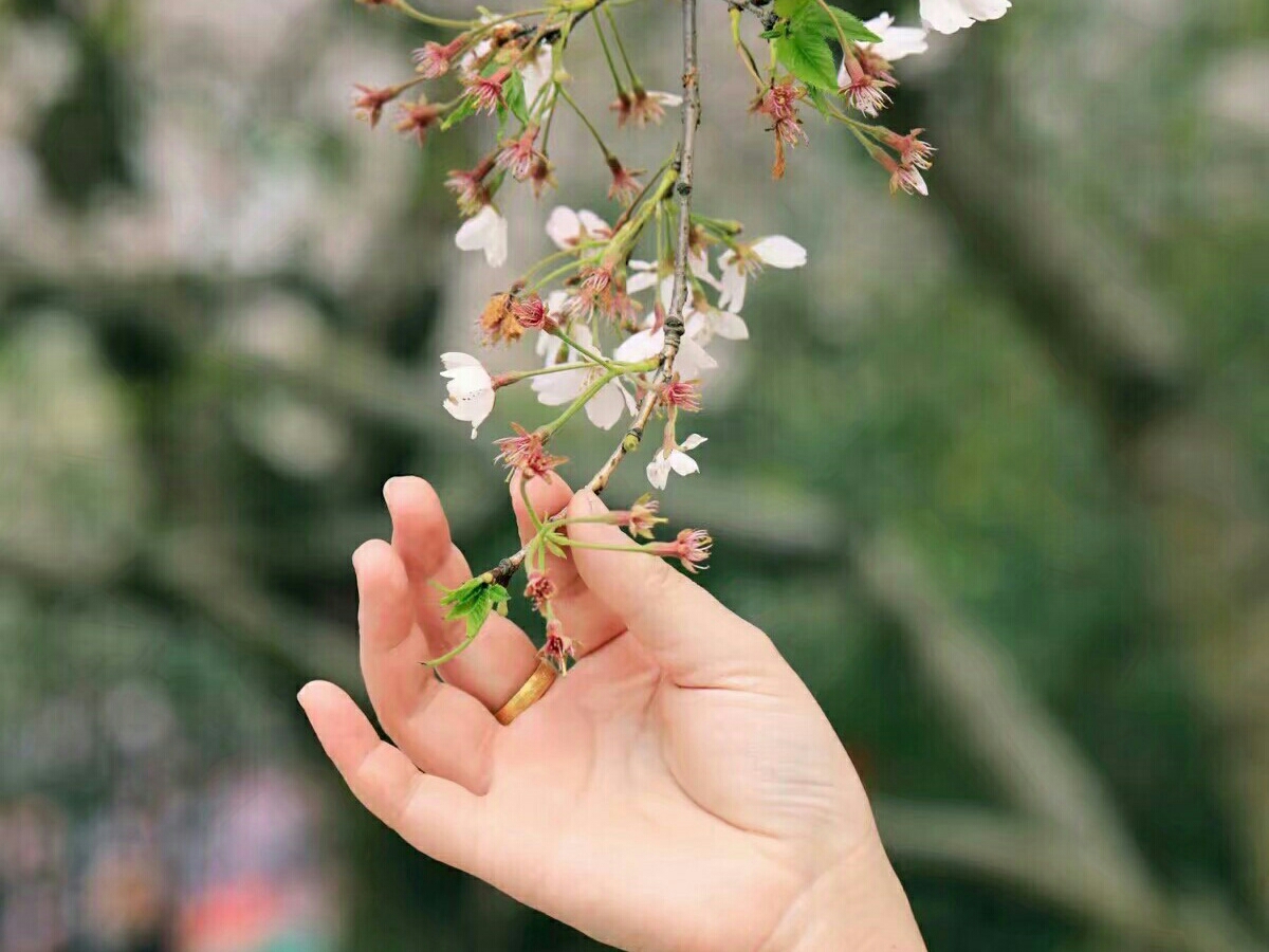 在时光缝隙里,存寄一缕微光,让每一颗不安的心,停泊在一个温暖的地方.