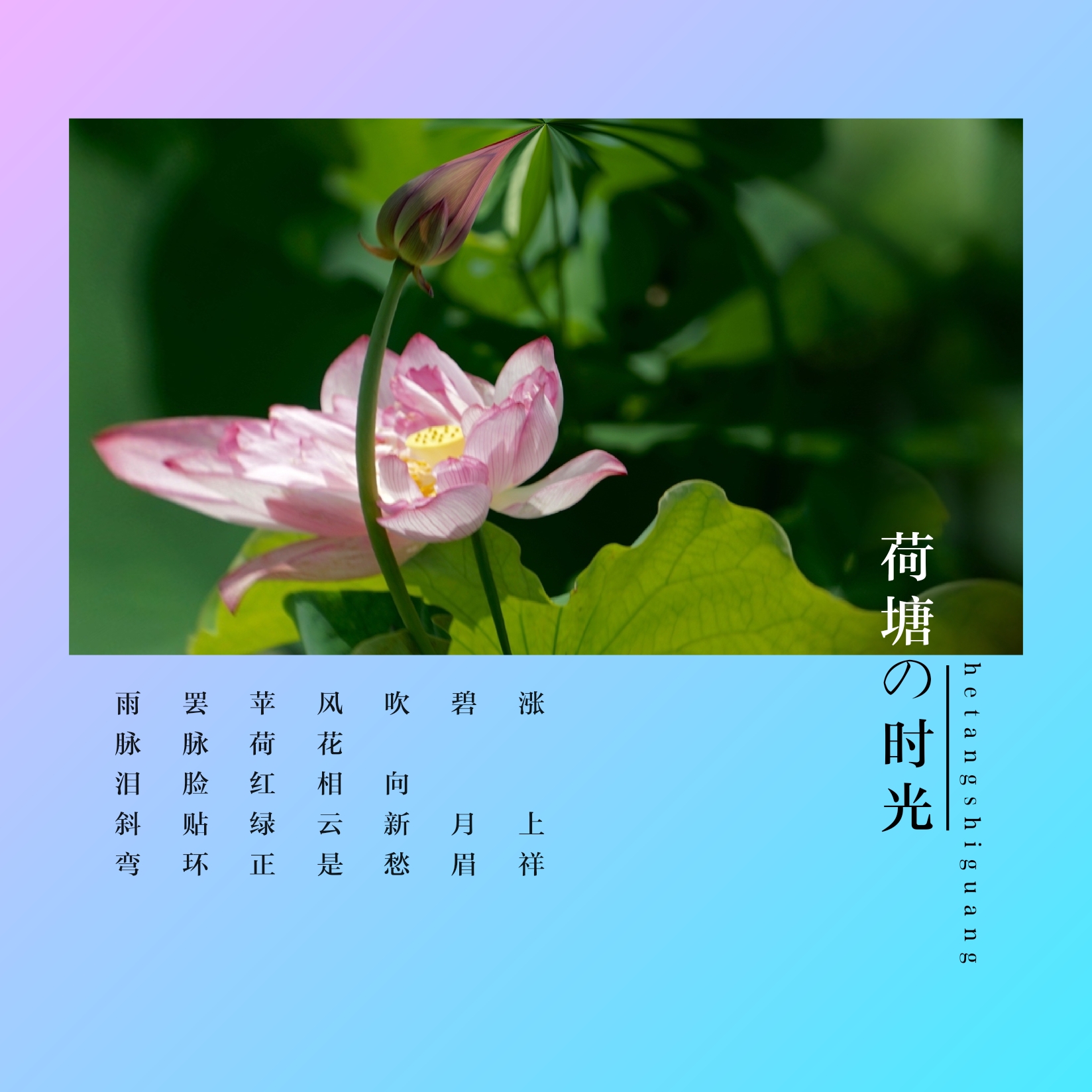 [首发]见一尾蜻蜓,便知夏意清凉.