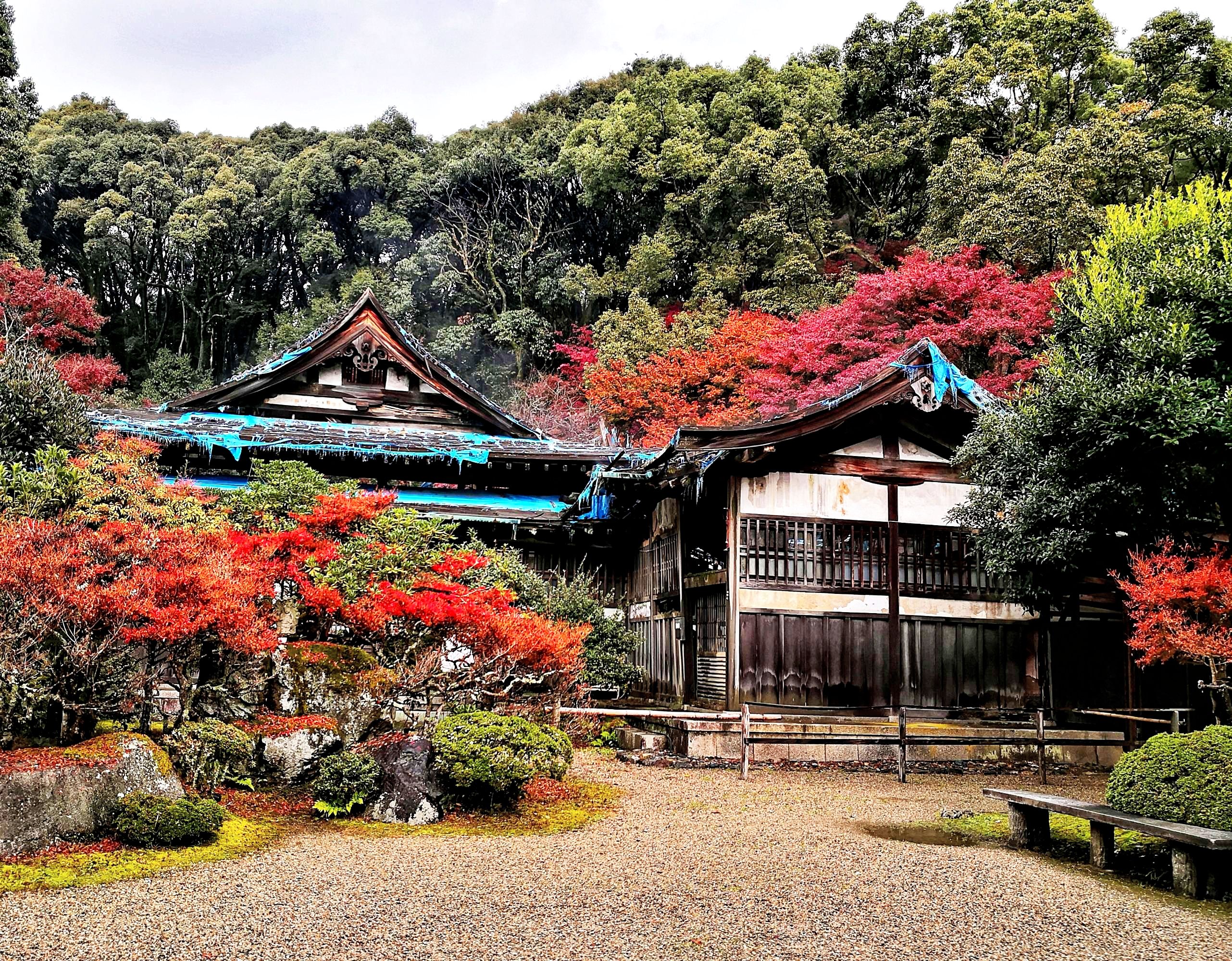 建于公元874年 是日本佛教真言宗 醍醐派总寺 京都宗教寺庙圣地 排名