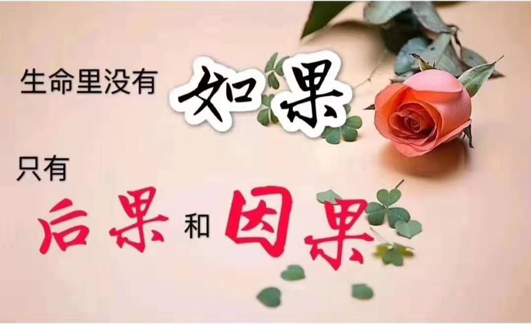 明白了前世因果,什么都风轻云淡