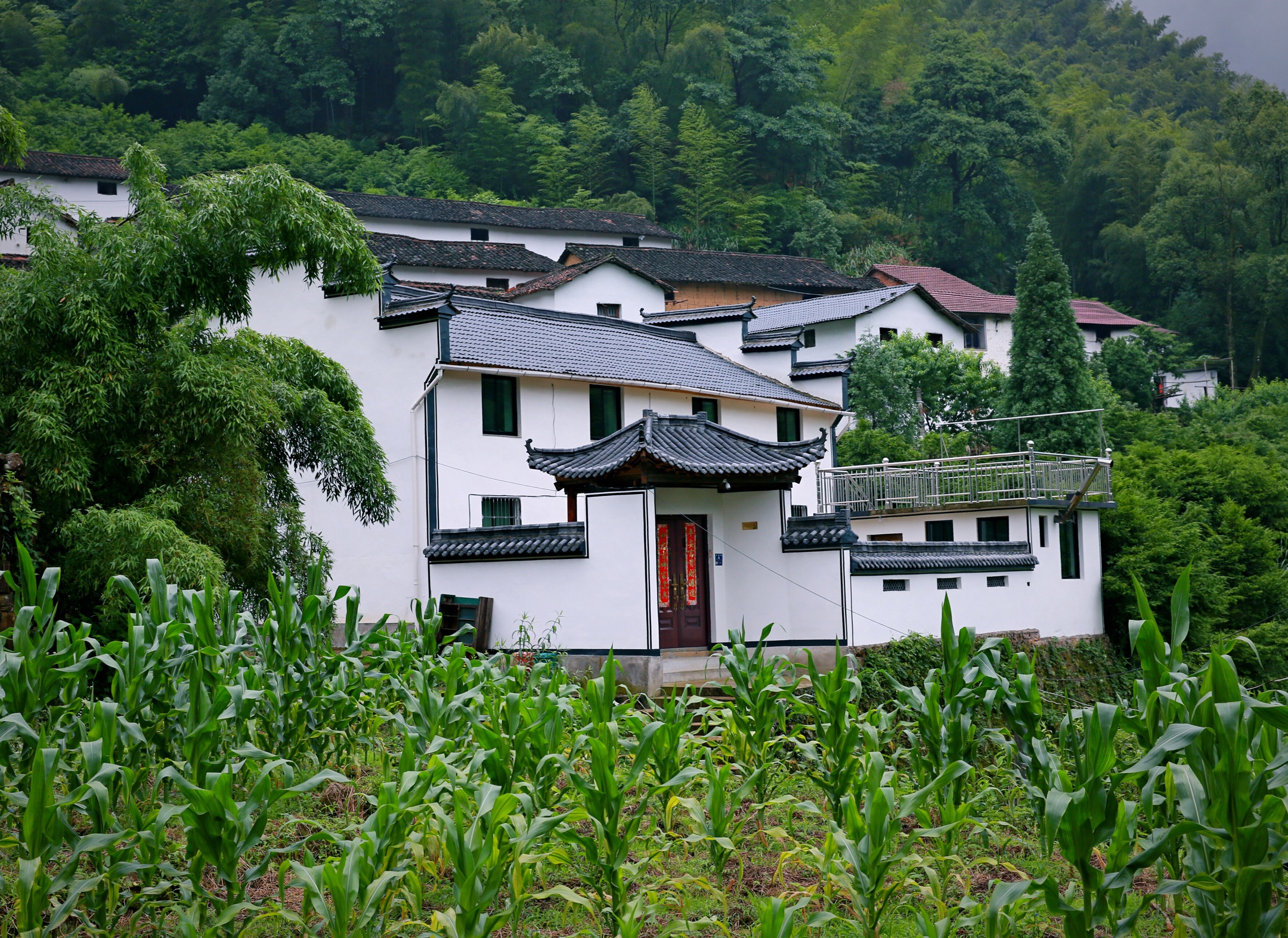 《美丽山村待君来》革命老区塔石乡上南坑村行记