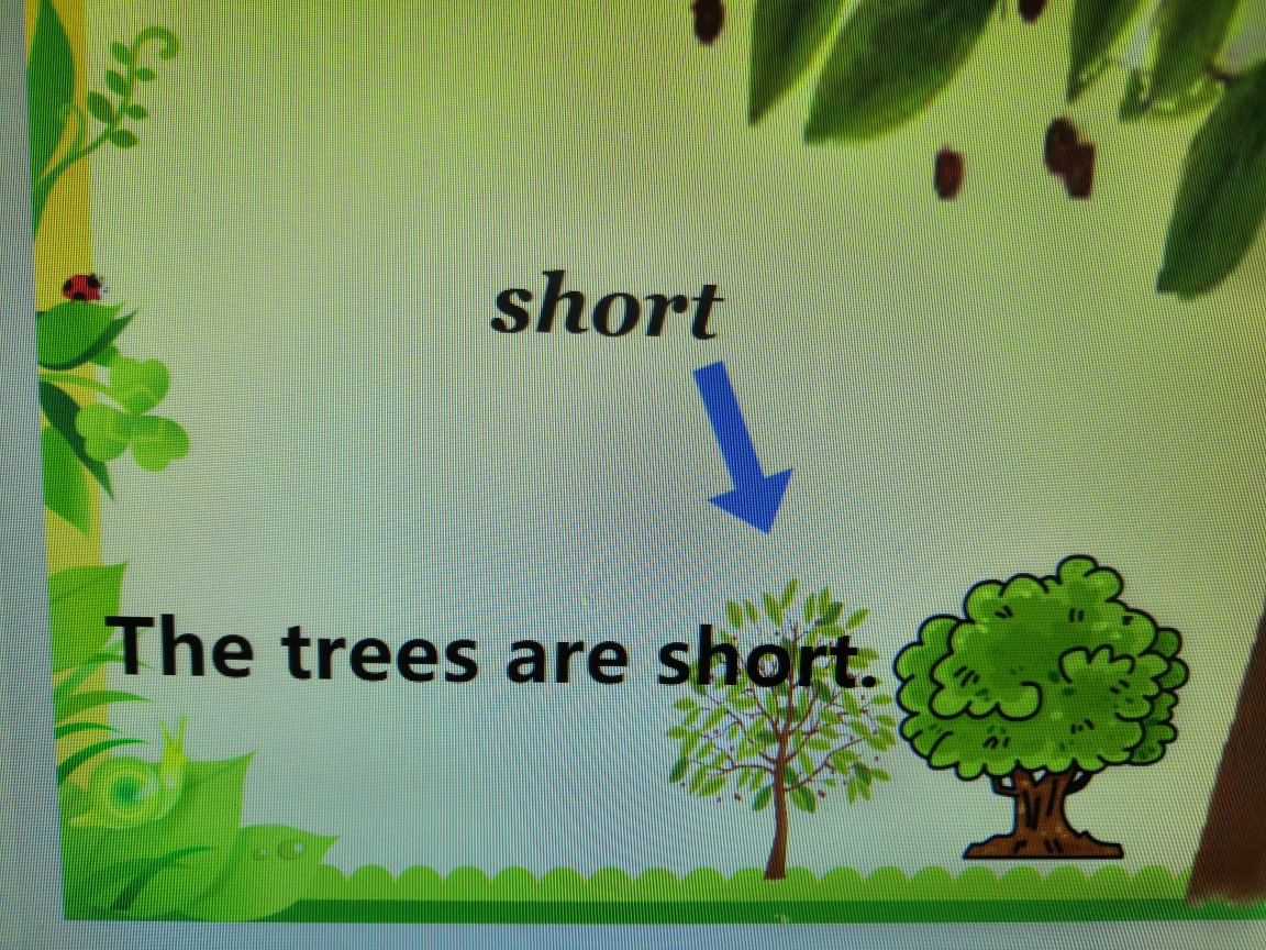 tall short small big