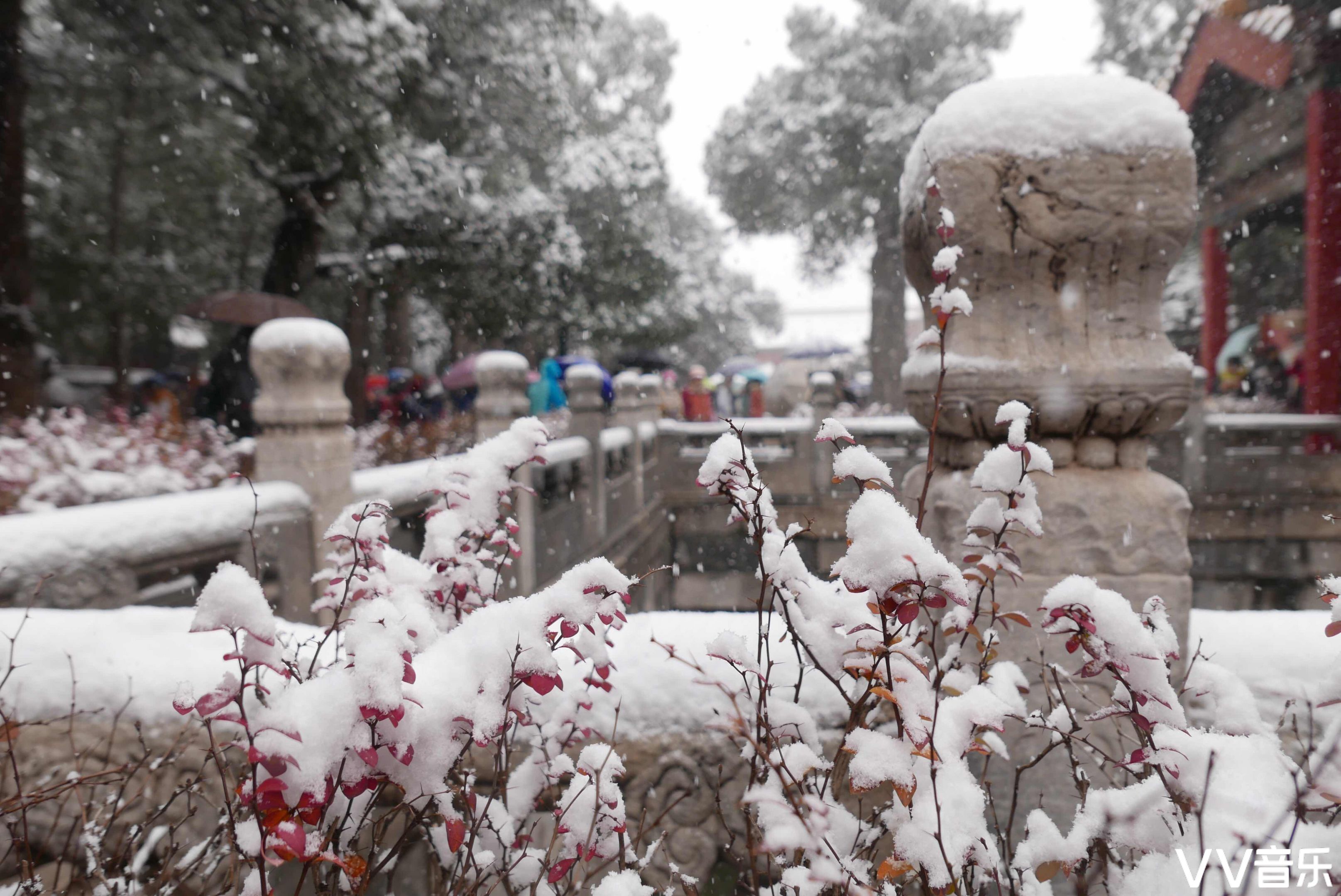 一场故宫雪,惊艳北京城