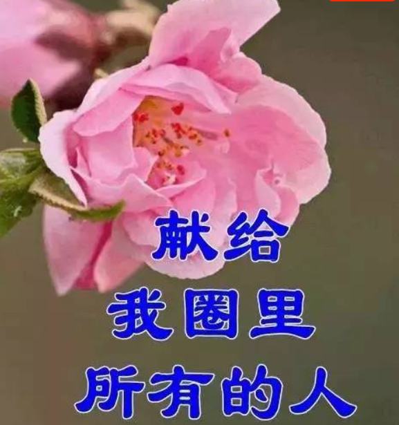 祸莫大於不知足,咎莫大於欲得,故知足之足常足矣.