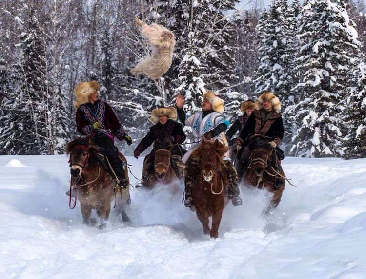 在哈萨克等民族的牧民中,至今仍沿袭着叼羊的传统.