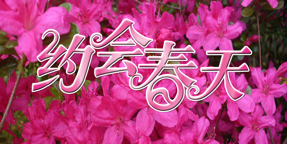 约会春天