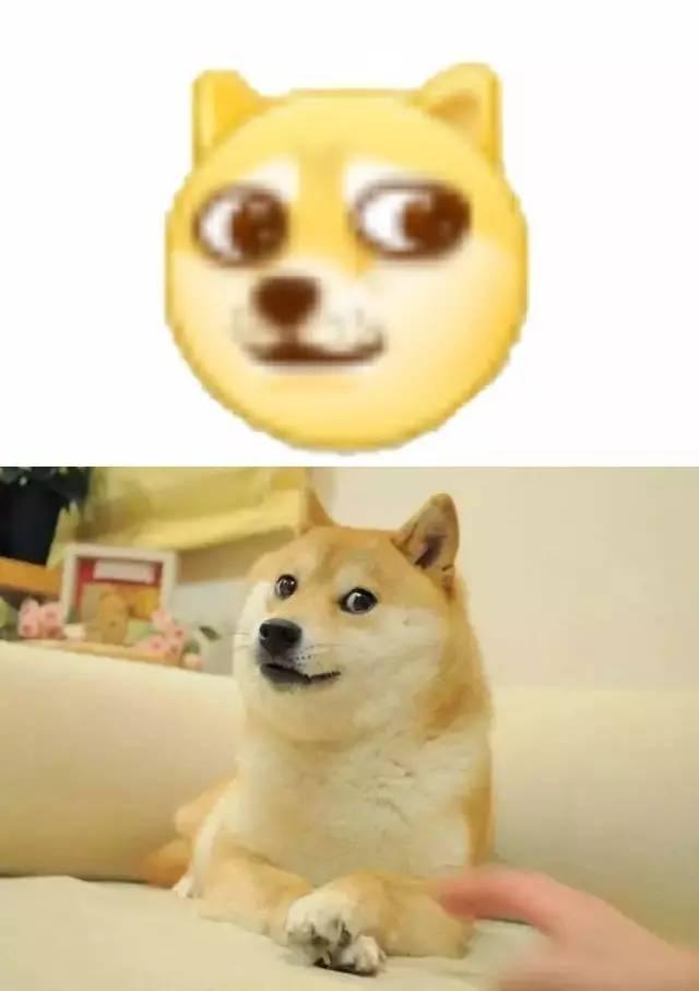 如果说哈士奇是狗中的表情帝,那柴犬绝对就是戏精!