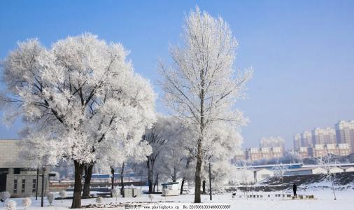 东北雪景