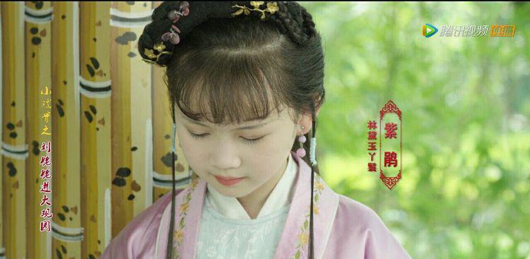 小戏骨红楼梦向经典致敬