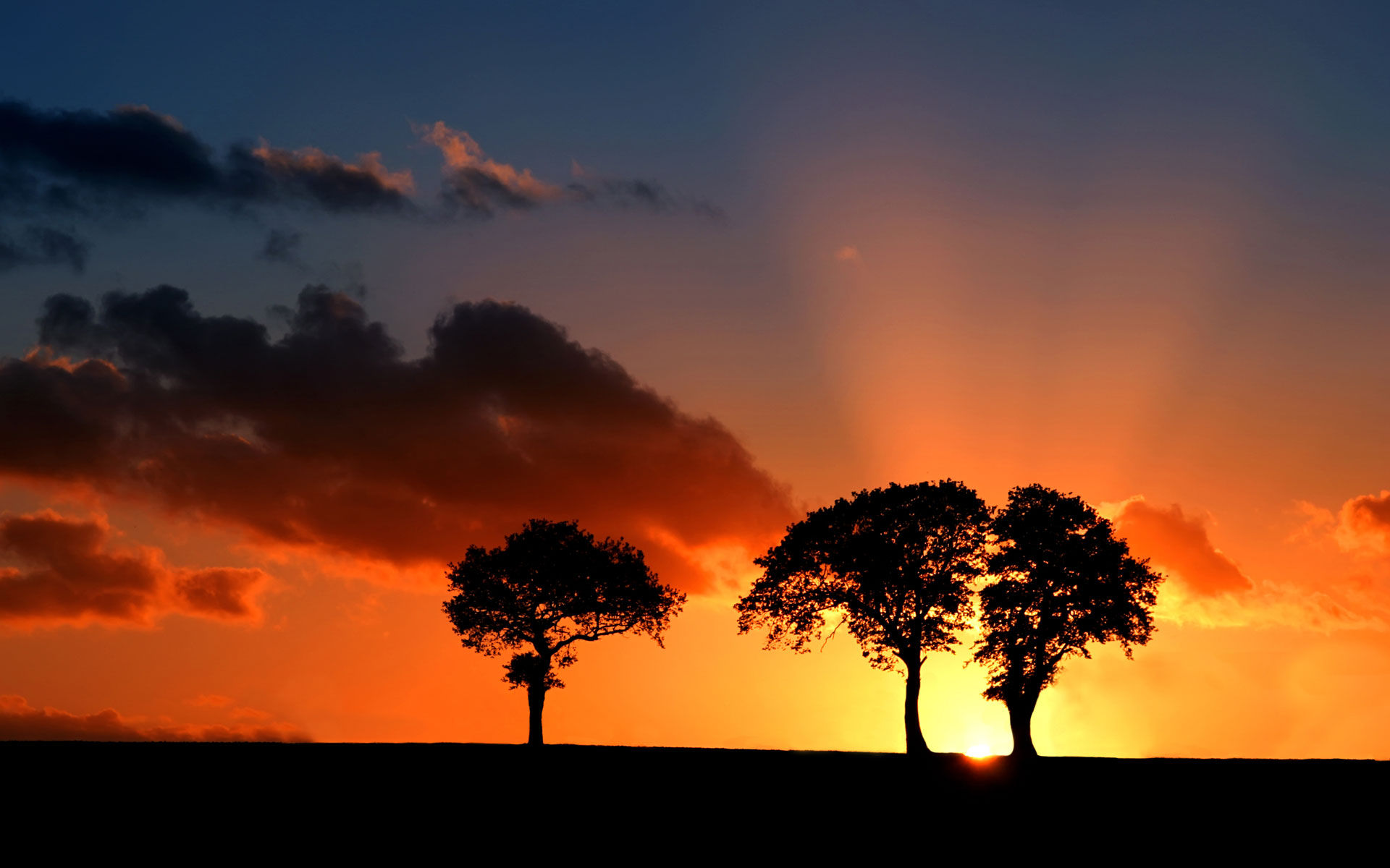 请跟我一起去草原看落日