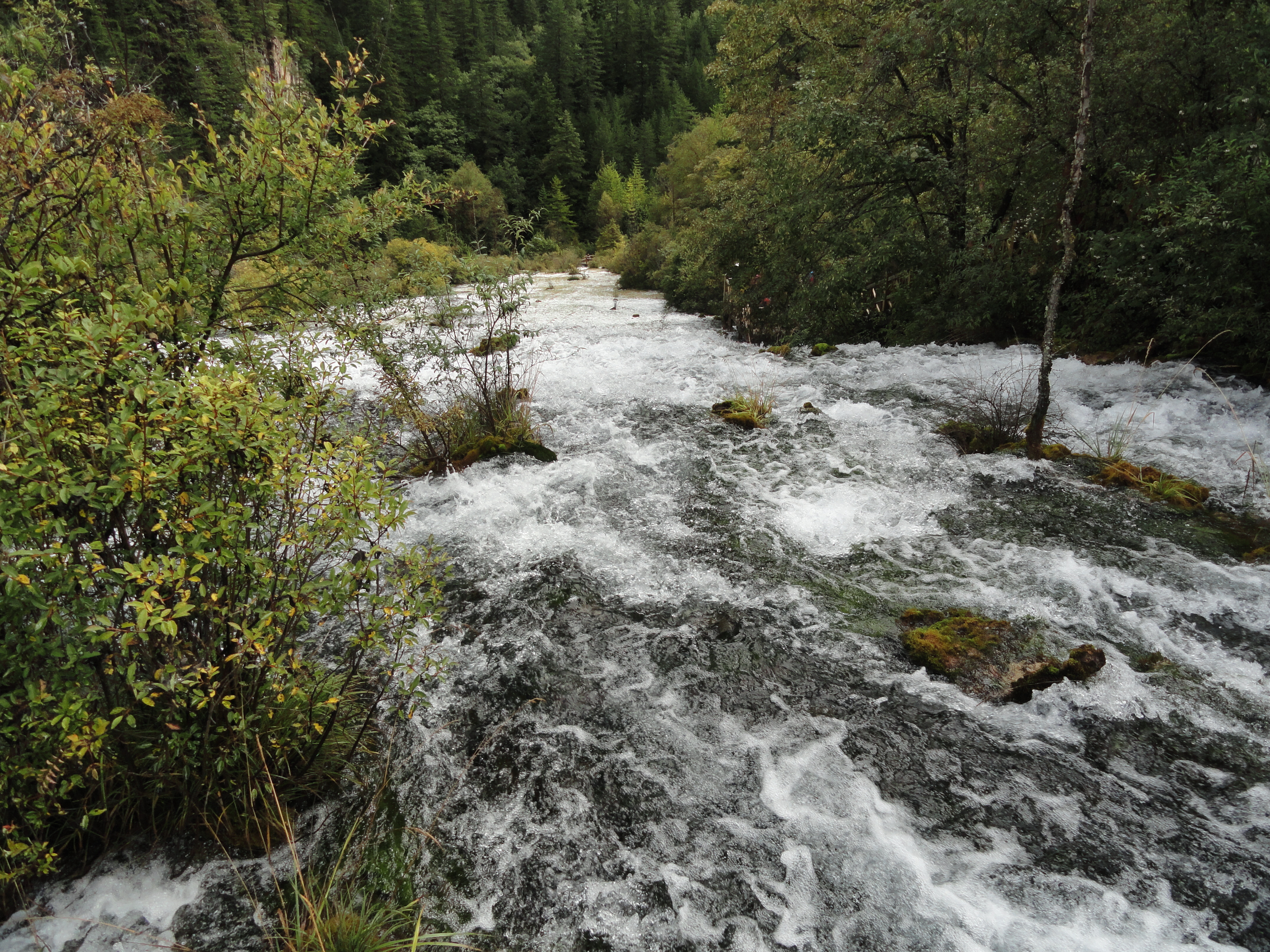 奇异的自然景观-------九寨沟