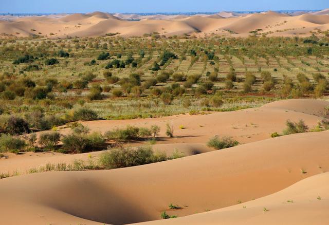 又一处沙漠变为了绿洲,也只有中国能够做到
