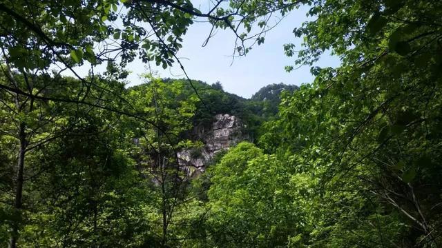 "适马野情惬,千山高复低,好峰随处改,幽径独行迷,霜落熊升树,林空鹿