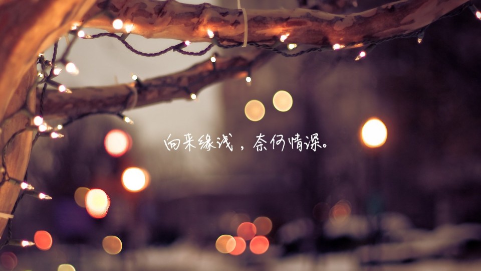 心若相知无言也默契情若相眷不语也怜惜