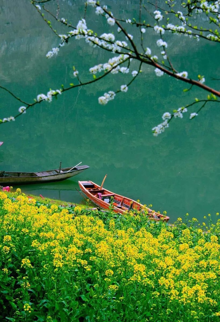 737_1080竖版 竖屏